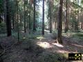 Altbergbau bei Eichigt nahe Oelsnitz im Vogtland, Sachsen, (D) (4) 17. September 2015.JPG